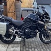 Tiger 1200 FSH near Mint **VIDEO**