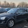 Mint vauxhall antara