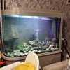 Large fish tank