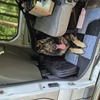 2006 renault trafic 90k