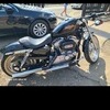 Harley Davidson xl883l sportster