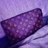 Louis Vuitton Pouch 26