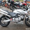Cb600s hornet
