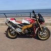 Aprilia tuono factory r.