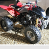 Quadzilla 300 with fazor 600 engine