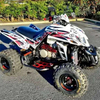 Quadzilla 450cc