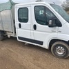 Citroen relay tipper with arb box