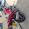 Sizing bandit mk1 600