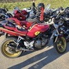 Suzuki Bandit 250