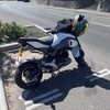 Honda grom 125!