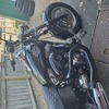 Fat bob