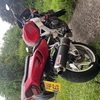 HONDA CBR RR FIREBLADE
