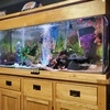 300l aquarium full setup with fish