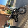 Tiger 800xca