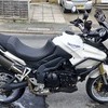 Triumph tiger 1050