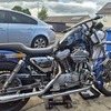 Harley davidson sportster xlh1100