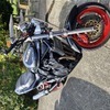 1200 bandit