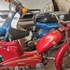 Phillips panda pedal and pop moped