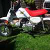 Monkey bike