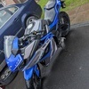 Lxr 125