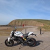 2019Ducati monster 797 2.5k mileage