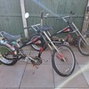 1 Vintage Schwinn stingray chopper