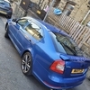 Octavia VRS 2.0 TDI DSG Blackline