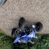((YAMAHA YFZ450R RACE QUAD 2021))