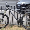 Nice carrera sulcata3