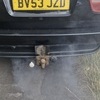 53 BMW X5 SPARES/REPAIRS