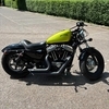 Harley davidson forty eight 2013
