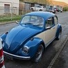 68 beetle