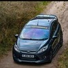 Fiesta metal st rep