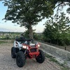 Polaris Scambler 1000