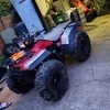 trx 350