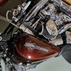 Harley davidson 2010 dyna