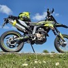 Fb mondial smx125