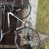 BMC carbon bike