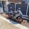 Aprillia rsv
