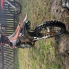 KTM 150sx