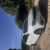 Polo gti 6c pan roof