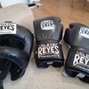 Reyes 12oz gloves and head guard