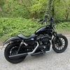 2011 Harley Davidson iron 883