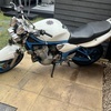 Suzuki bandit 600