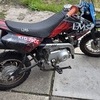 Lms 70cc rev and rip kids pitbike