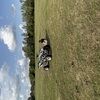 Yzf450 quad