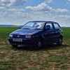 Polo 6N