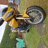 Triumph tiger 1050