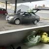 Nissan primera
