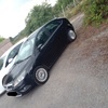 1.6tdci focus swaps decent pitbike